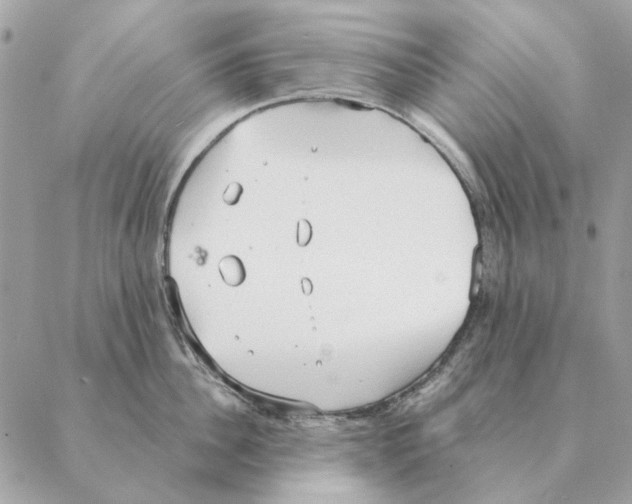 X0000088220956200706121827