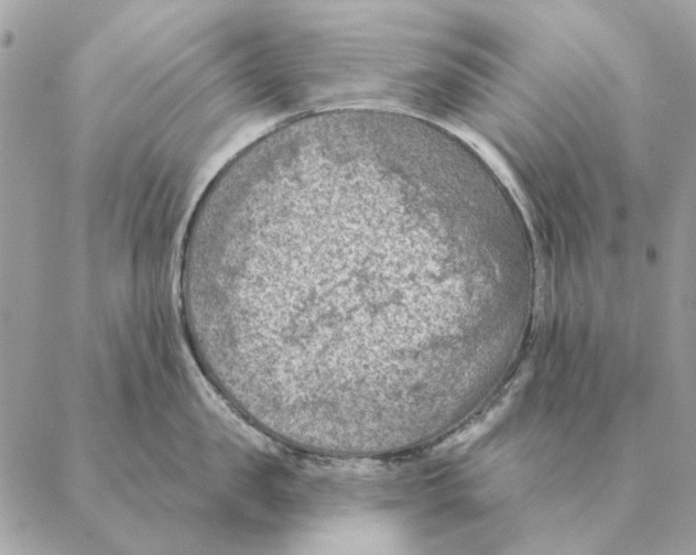 X0000088220957200706121827