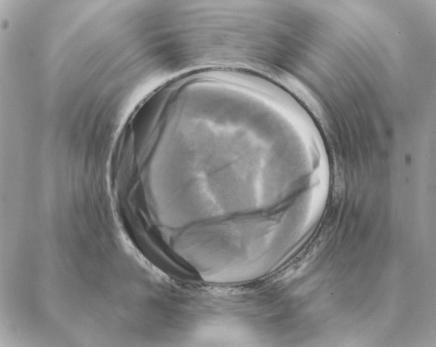 X0000088220958200706121827