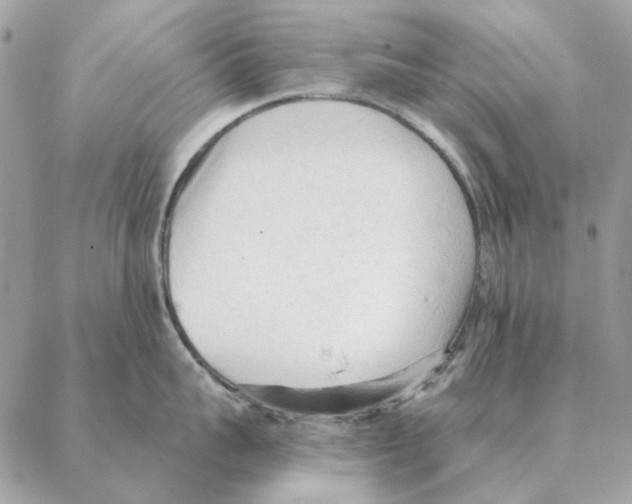 X0000088220959200706121827