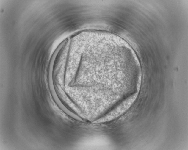 X0000088220960200706121827