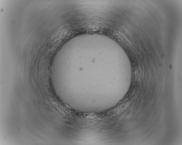 X0000088220961200706121826