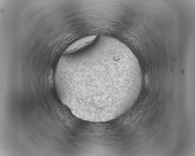 X0000088220963200706121826