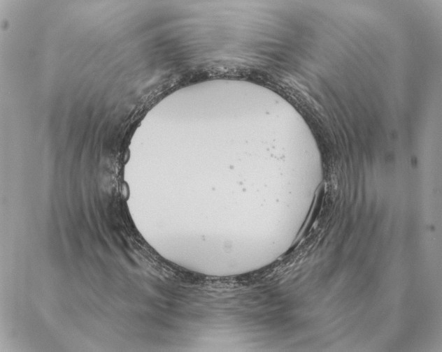 X0000088220964200706121826