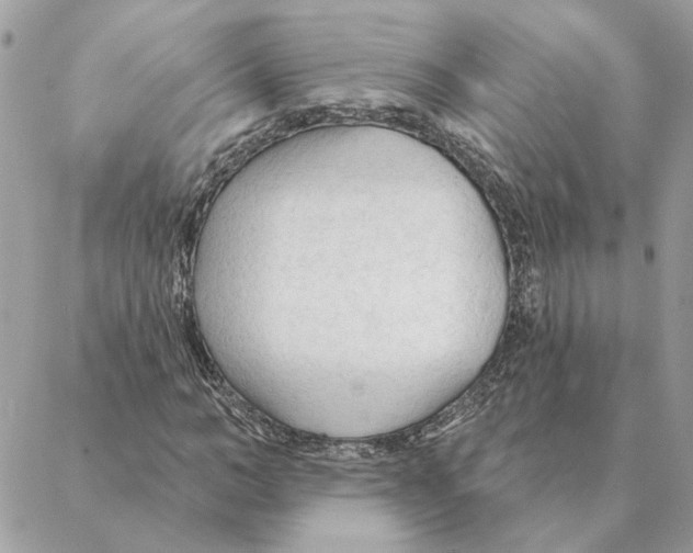 X0000088220966200706121826