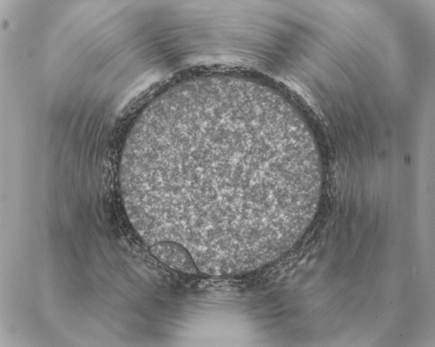 X0000088220967200706121826