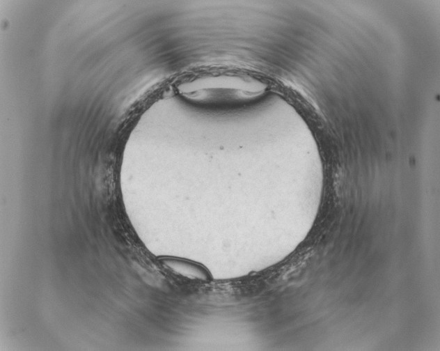 X0000088220968200706121826