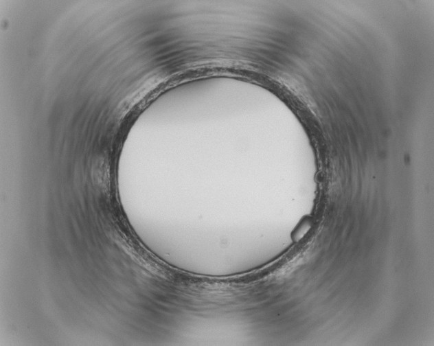 X0000088220969200706121826