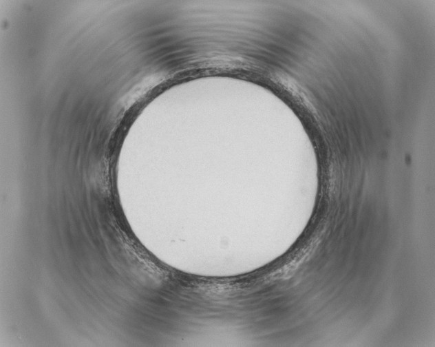 X0000088220970200706121826