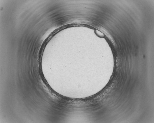 X0000088220972200706121826