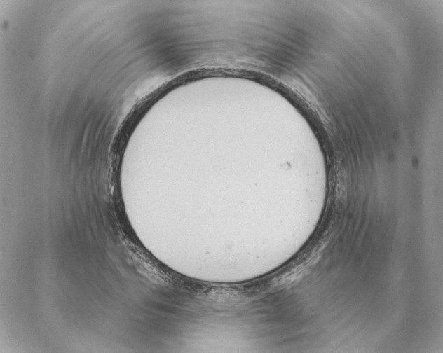 X0000088220974200706121826