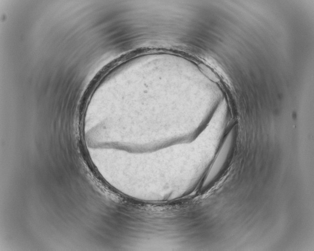 X0000088220976200706121826