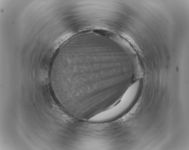 X0000088220977200706121826