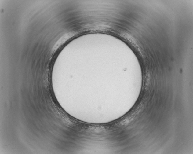 X0000088220978200706121826