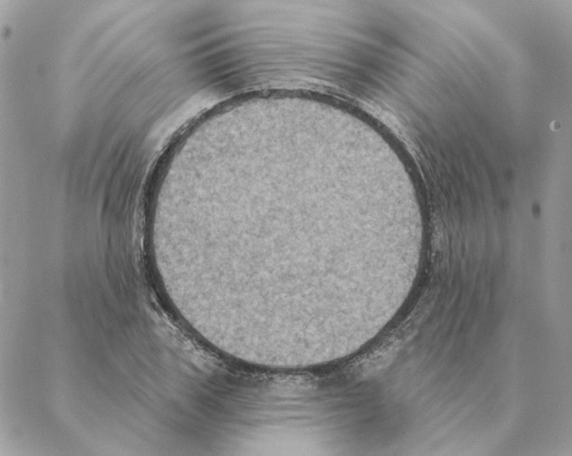 X0000088220979200706121826