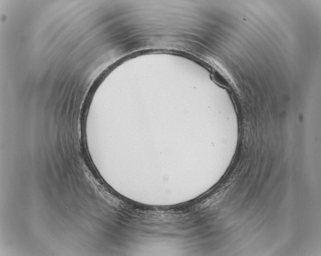 X0000088220980200706121826