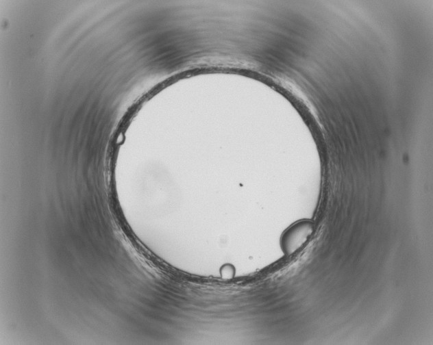 X0000088220981200706121826