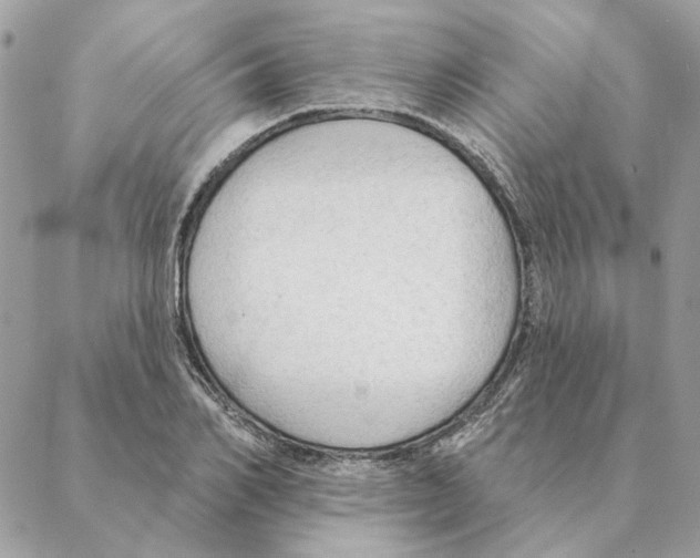 X0000088220982200706121826