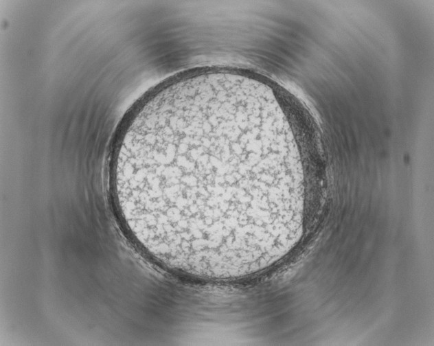 X0000088220983200706121826