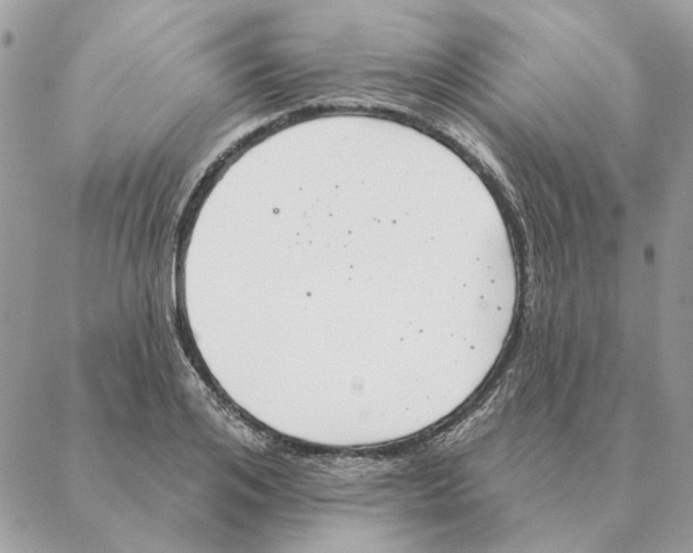 X0000088220984200706121826