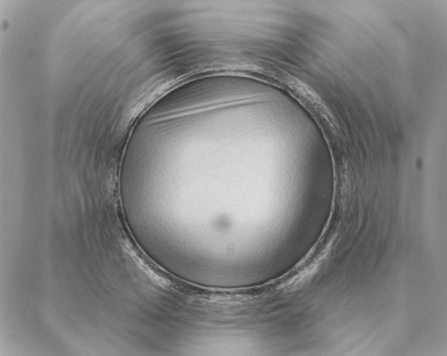 X0000088220985200706121826