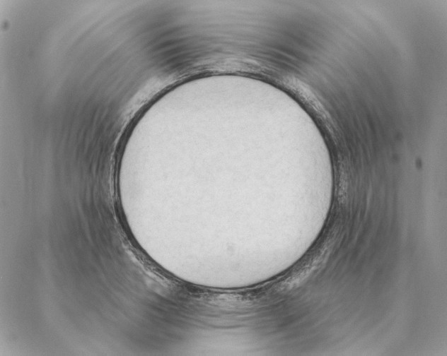 X0000088220986200706121826