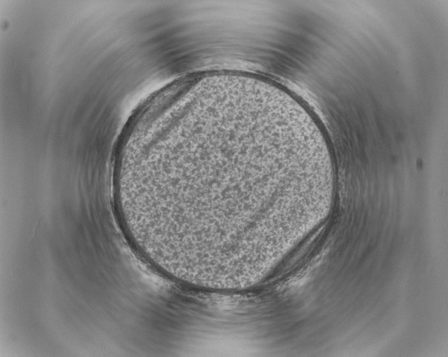 X0000088220987200706121826