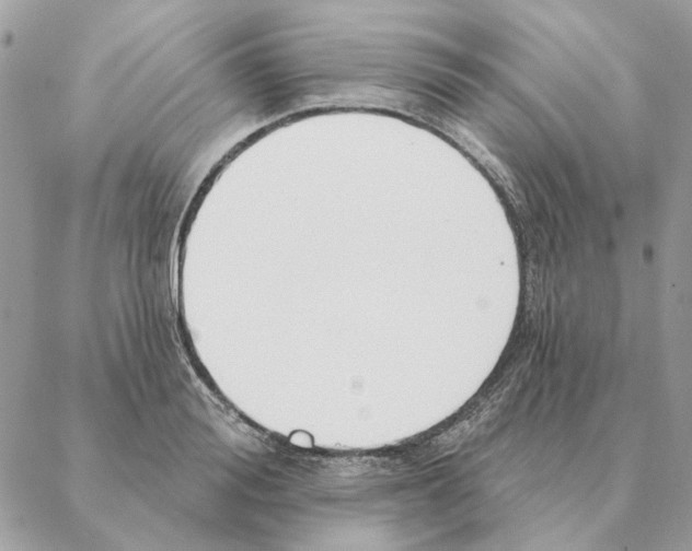 X0000088220988200706121826