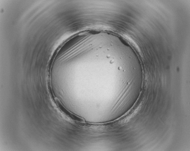 X0000088220989200706121826