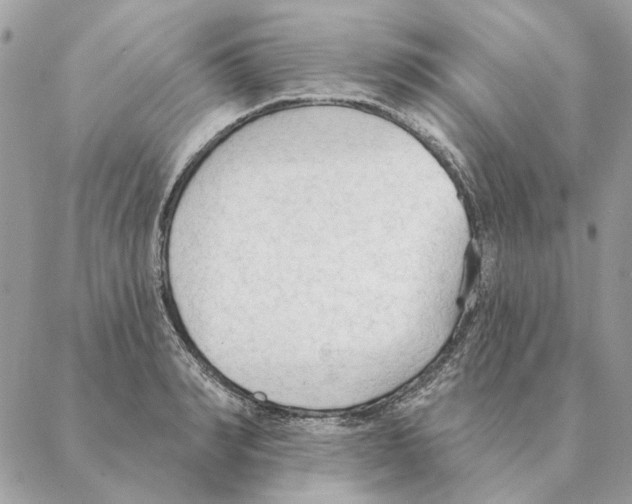 X0000088220990200706121826