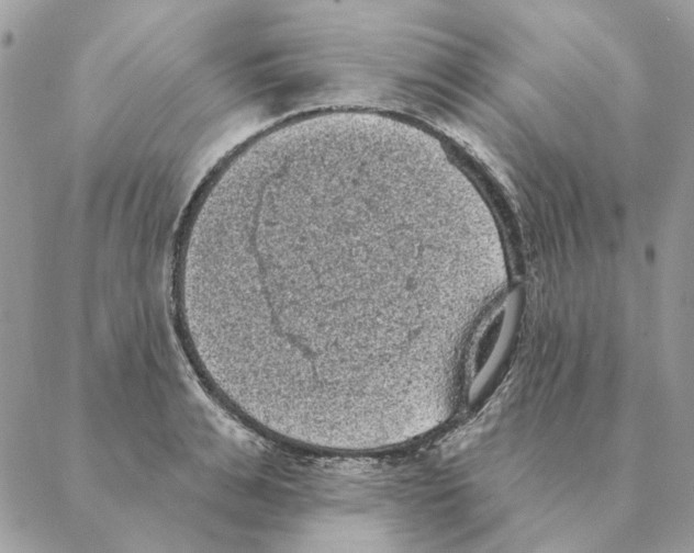 X0000088220991200706121826