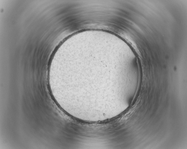 X0000088220992200706121826