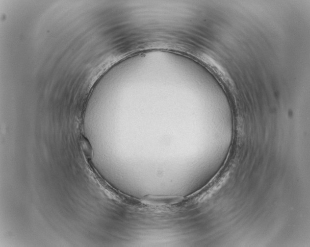 X0000088220993200706121826