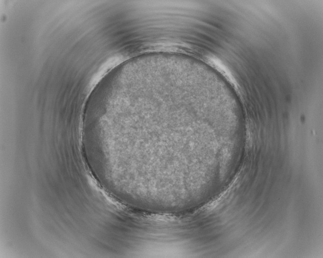 X0000088220994200706121826