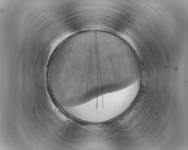 X0000088220995200706121826