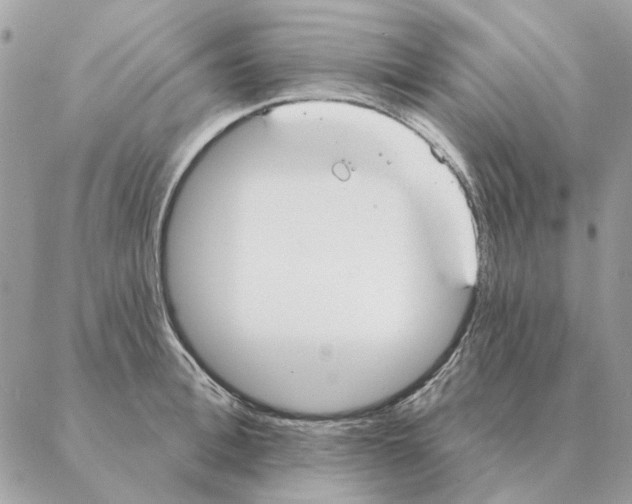 X0000088220996200706121826