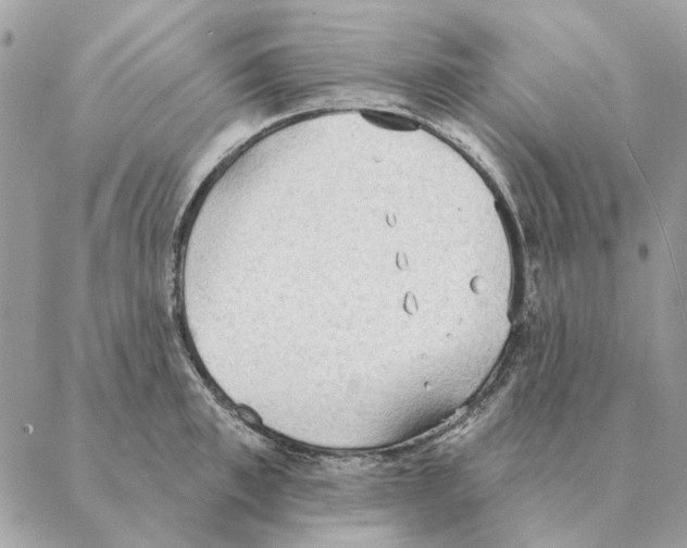 X0000088220997200706121825