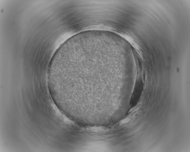 X0000088220998200706121825