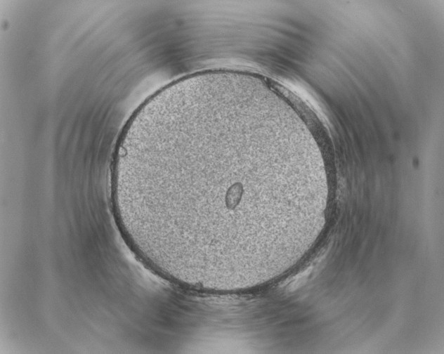 X0000088220999200706121825