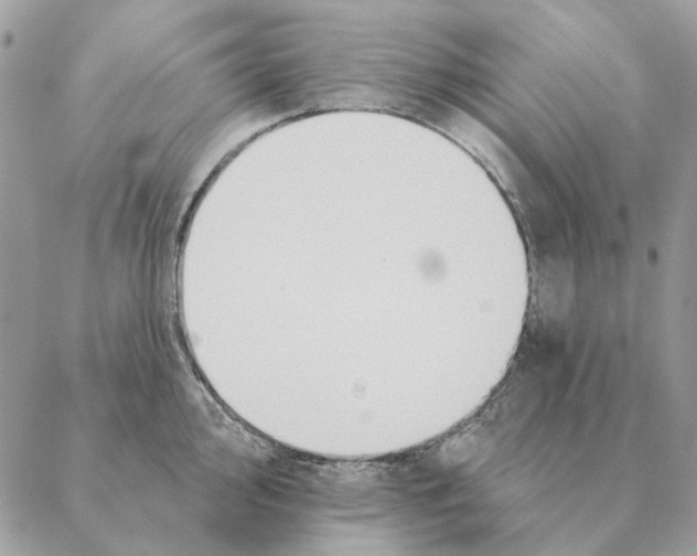 X0000088221000200706121825