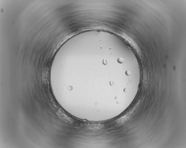 X0000088221001200706121825