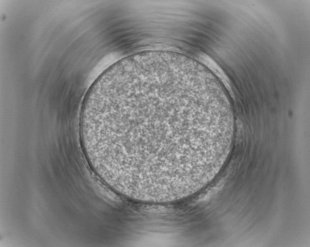 X0000088221002200706121825