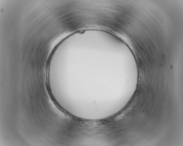 X0000088221003200706121825