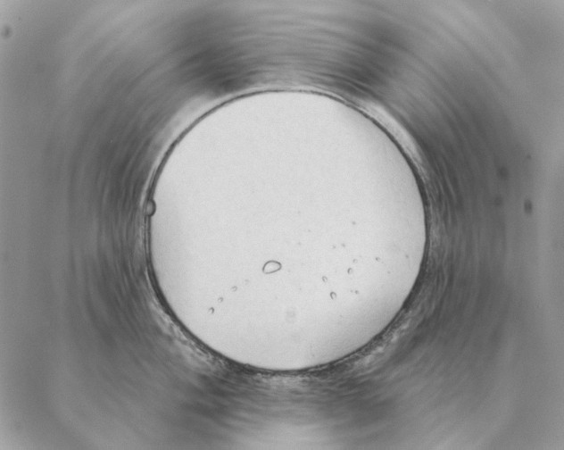 X0000088221004200706121825