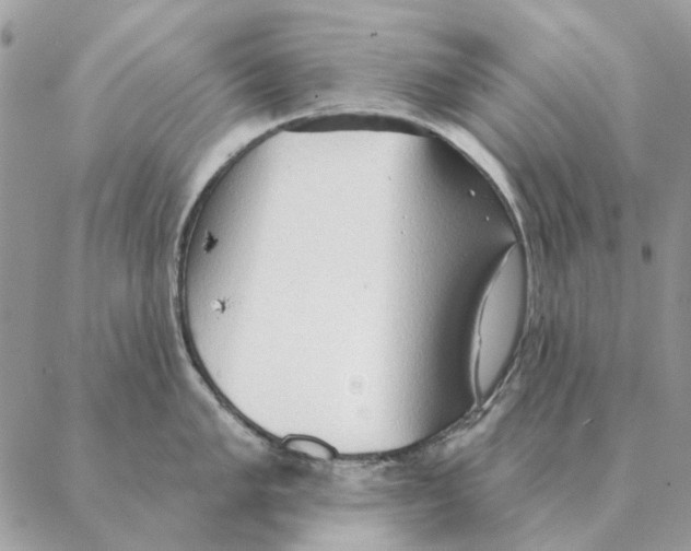 X0000088221005200706121825