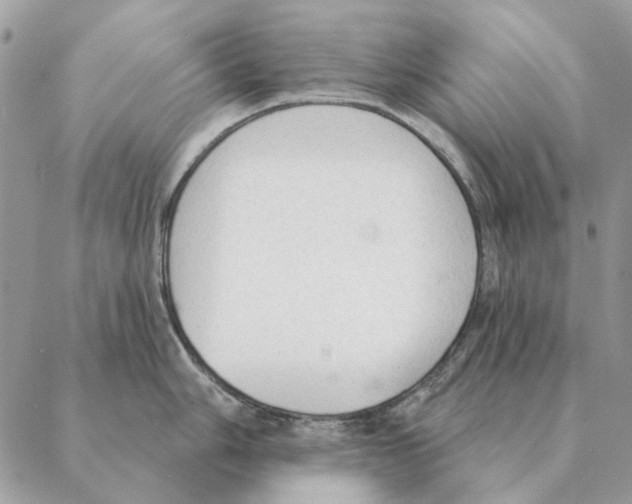 X0000088221006200706121825