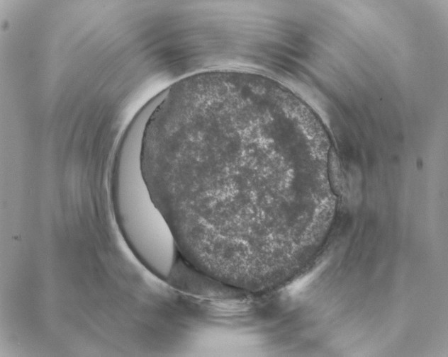 X0000088221007200706121825