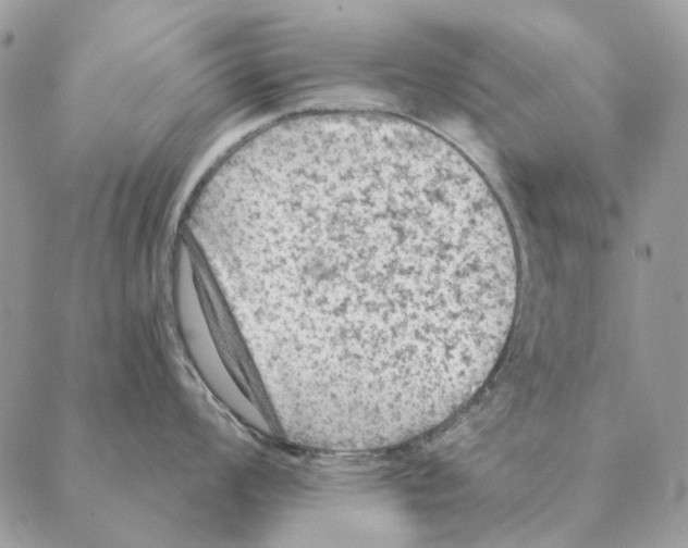 X0000088221008200706121825