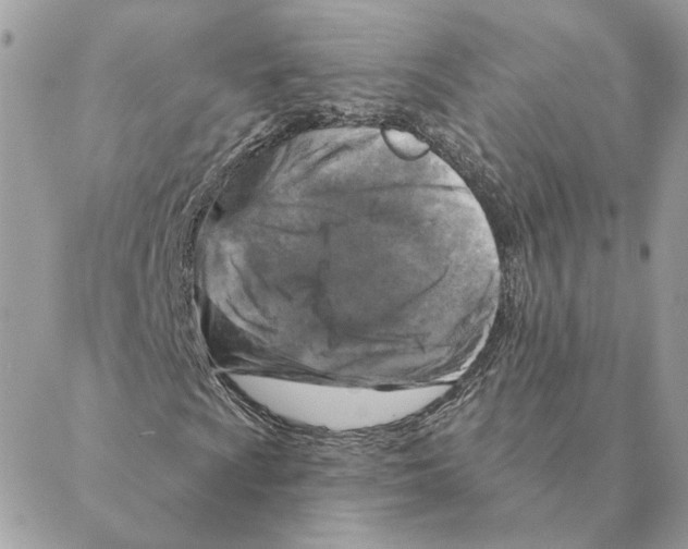 X0000088221009200706121825