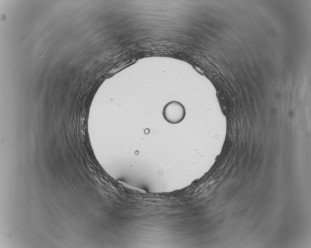 X0000088221010200706121825